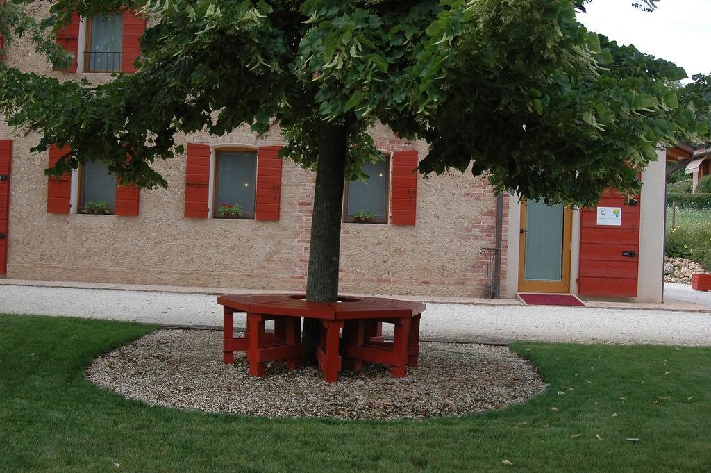 Agriturismo la paterna Giavera del Montello Exterior foto